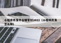 小程序開發(fā)平臺哪家好2022（小程序開發(fā)怎么樣）