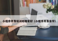 小程序開發(fā)培訓班哪家好（小程序開發(fā)自學）