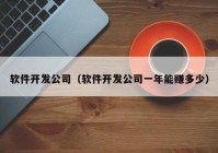 軟件開發(fā)公司（軟件開發(fā)公司一年能賺多少）