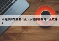 小程序開發(fā)需要什么（小程序開發(fā)用什么軟件）