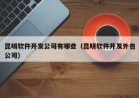 昆明軟件開發(fā)公司有哪些（昆明軟件開發(fā)外包公司）