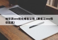 哈爾濱seo優(yōu)化排名公司（黑龍江seo性價比高）