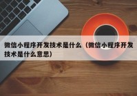 微信小程序開發(fā)技術是什么（微信小程序開發(fā)技術是什么意思）