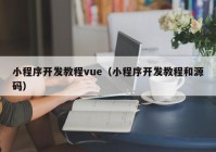 小程序開發(fā)教程vue（小程序開發(fā)教程和源碼）