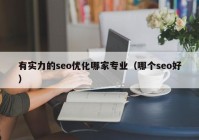 有實(shí)力的seo優(yōu)化哪家專業(yè)（哪個(gè)seo好）