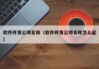 軟件開發(fā)公司名稱（軟件開發(fā)公司名稱怎么起）