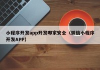 小程序開發(fā)app開發(fā)哪家安全（微信小程序開發(fā)APP）