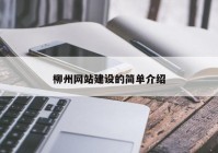 柳州網站建設的簡單介紹