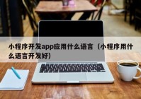 小程序開發(fā)app應(yīng)用什么語言（小程序用什么語言開發(fā)好）