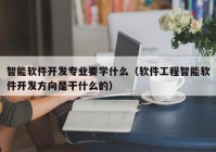 智能軟件開發(fā)專業(yè)要學(xué)什么（軟件工程智能軟件開發(fā)方向是干什么的）