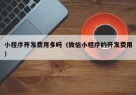 小程序開發(fā)費(fèi)用多嗎（微信小程序的開發(fā)費(fèi)用）