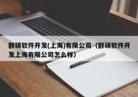 群碩軟件開發(fā)(上海)有限公司（群碩軟件開發(fā)上海有限公司怎么樣）