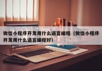 微信小程序開發(fā)用什么語言編程（微信小程序開發(fā)用什么語言編程好）