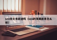 seo優(yōu)化有前途嗎（seo的發(fā)展前景怎么樣）