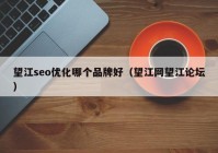 望江seo優(yōu)化哪個品牌好（望江網(wǎng)望江論壇）