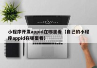 小程序開發(fā)appid在哪里看（自己的小程序appid在哪里看）