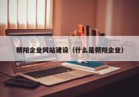 朝陽企業(yè)網(wǎng)站建設（什么是朝陽企業(yè)）