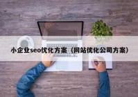 小企業(yè)seo優(yōu)化方案（網(wǎng)站優(yōu)化公司方案）