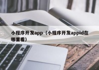 小程序開(kāi)發(fā)app（小程序開(kāi)發(fā)appid在哪里看）