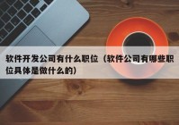 軟件開發(fā)公司有什么職位（軟件公司有哪些職位具體是做什么的）